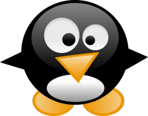linux mint